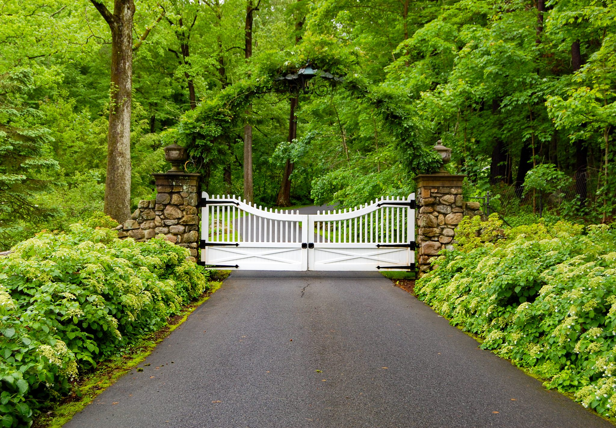 A solid white gate sits between two stone posts. A wrought iron arch connects the two posts, and a vine has grown around the iron.