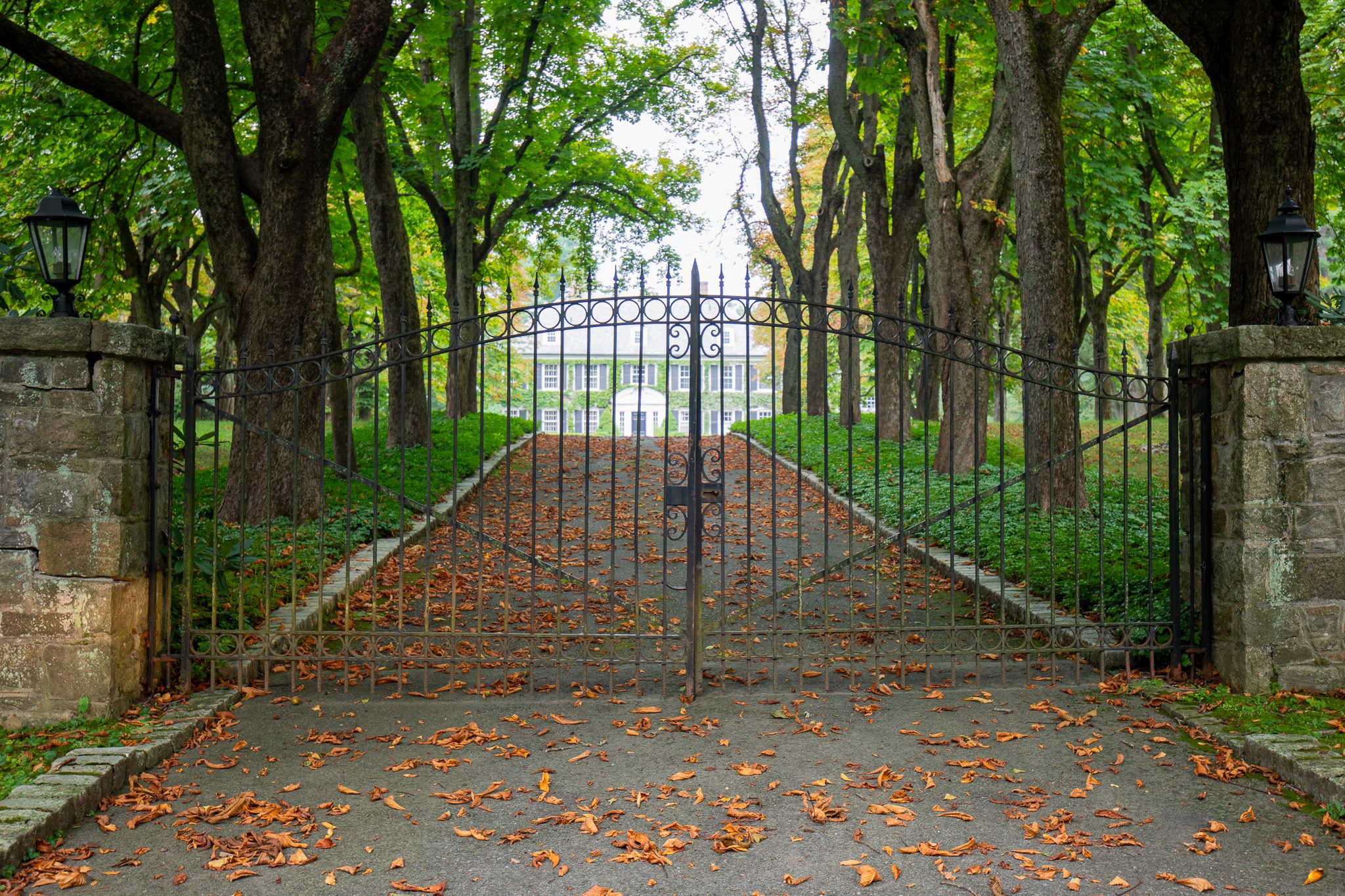 A wrought iron automatic driveway gate between two old stone columns stands at the entrance to a long, tree-lined driveway leading to an ivy-covered mansion in the distance.